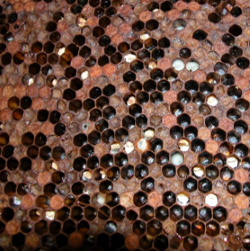 A frame of honey bee brood with signs of American foulbrood; there is a pepperpot brood pattern and many cells look dark and sunken.