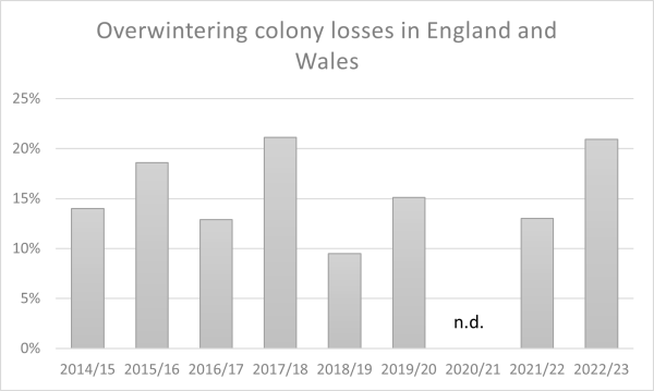 Graph of colony losses